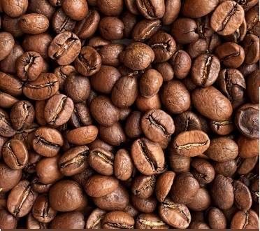  Robusta Roasted Beans